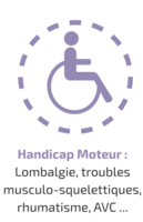 csm_frise_des_differents_handicaps-05_a8cb99fa6b